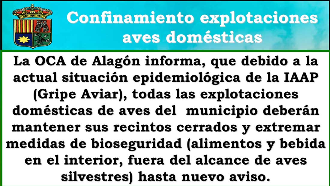 OCA-ALAGÓN-Bando-Gripe-Aviar