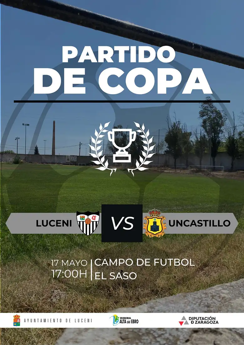 partido de copa