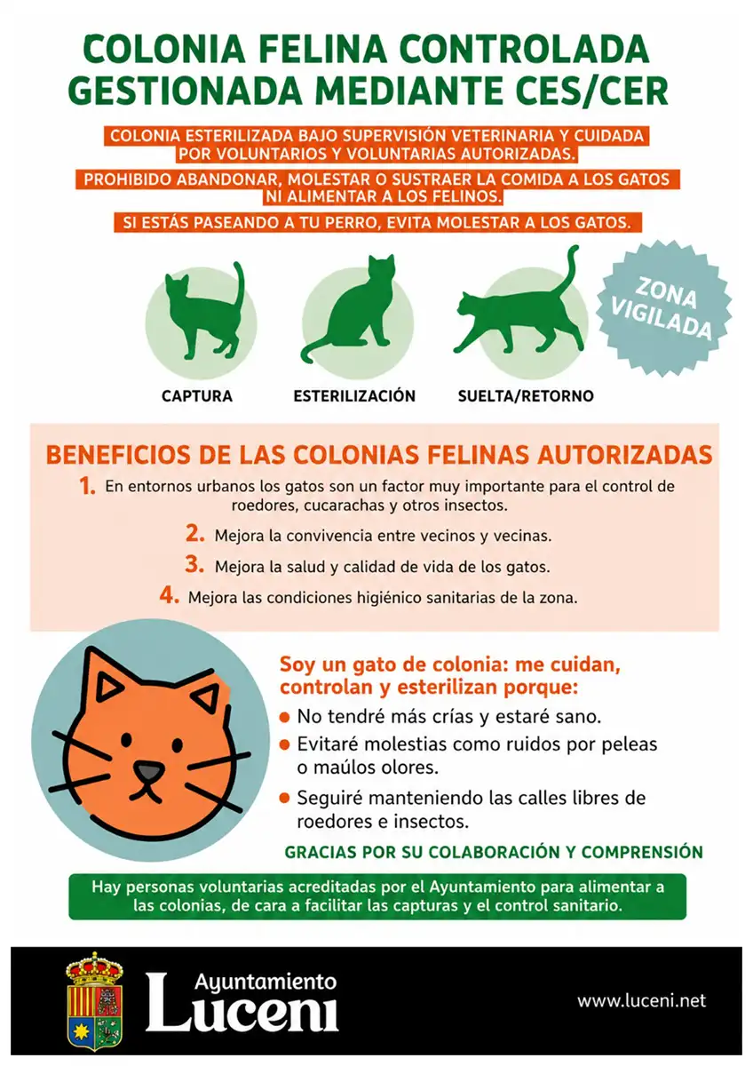 colonia-felina-luceni